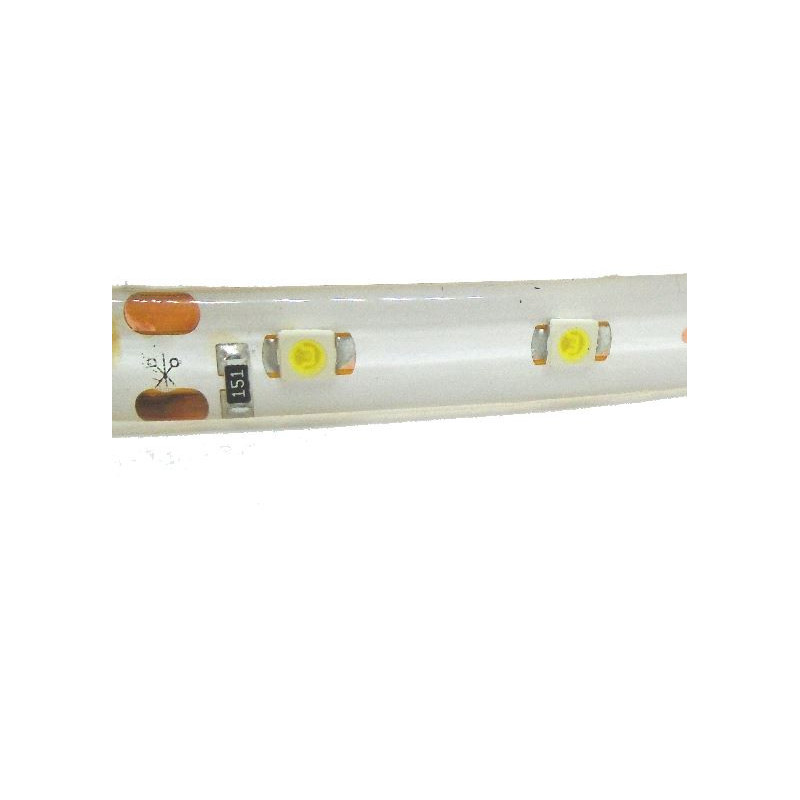 245-981-1 Tira de Led Color Azul con 300 Leds  (POR METRO)